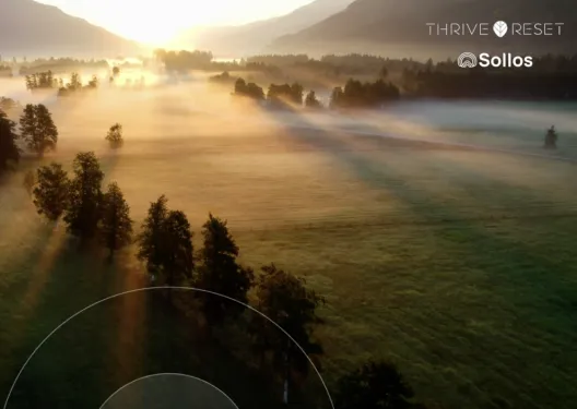 reset article - unlock stress